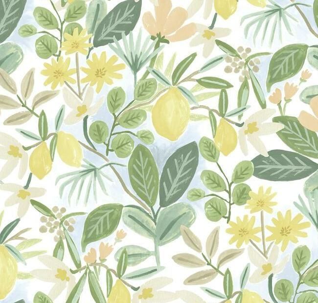 Amalfi | DesignShop