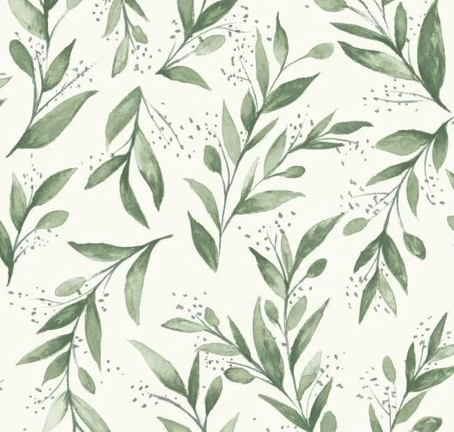 main sample image of Olive Grove Olive Branch