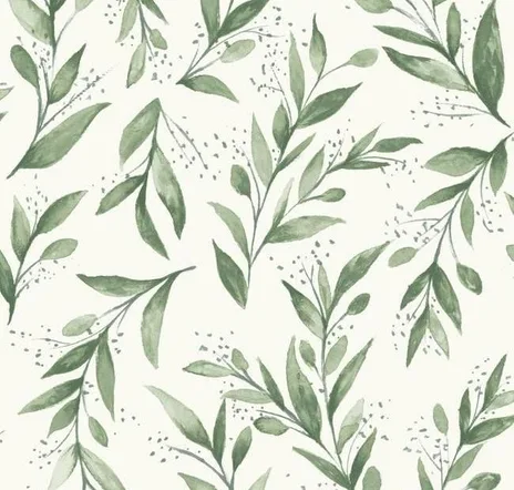 main sample image of Olive Grove Olive Branch