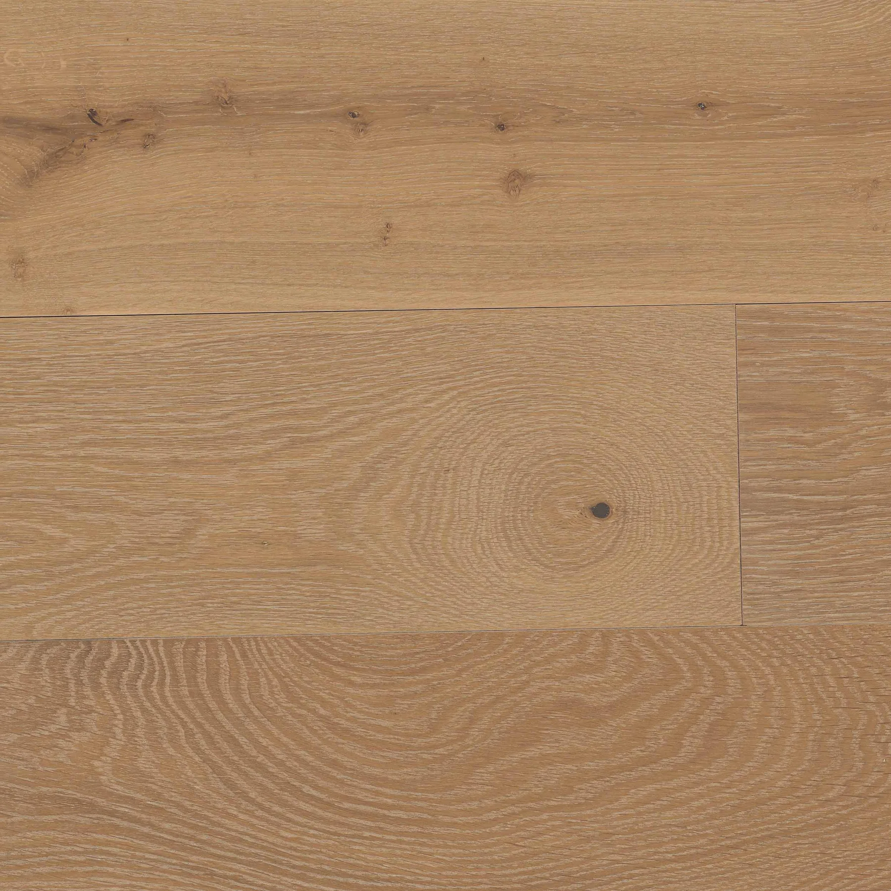 main sample image of Kivi - Stone Silvian